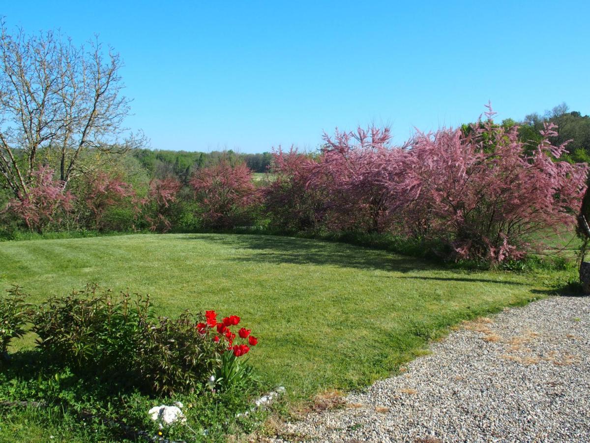 Les Tamaris Panzió Castelnau-sur-Gupie Kültér fotó